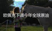 歐佩克下調(diào)今年全球原油需求增長預(yù)期
