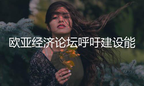 歐亞經濟論壇呼吁建設能源“絲綢之路”