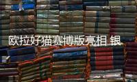 歐拉好貓賽博版亮相 銀色車身+賽博風套件