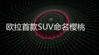 歐拉首款SUV命名櫻桃貓 成都車展首發