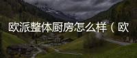 歐派整體廚房怎么樣（歐派整體廚房）