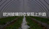 歐洲玻璃回收呈現(xiàn)上升趨勢(shì) 回收率達(dá)67%,市場(chǎng)研究