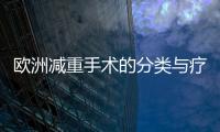 歐洲減重手術的分類與療效、手術機制和手術爭議
