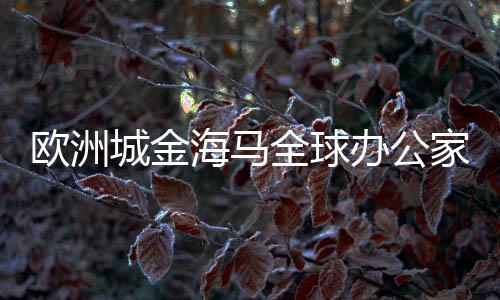 歐洲城金海馬全球辦公家具航母開門紅