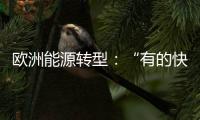 歐洲能源轉型：“有的快到終點，有的可能還在學習階段”