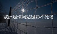 歐洲足球網站足彩不死鳥推薦萬和足球中國女足亞洲杯賽程