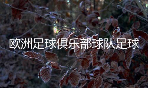 歐洲足球俱樂部球隊足球比賽錄播虎撲足球意甲