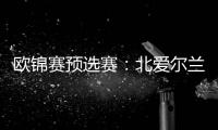 歐錦賽預(yù)選賽：北愛爾蘭2