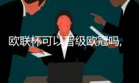 歐聯杯可以晉級歐冠嗎,歐聯杯冠軍可以直接參加下賽季歐冠嗎