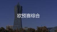 歐預賽綜合