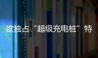 欲獨(dú)占“超級(jí)充電樁”特斯拉注冊(cè)多個(gè)商標(biāo)