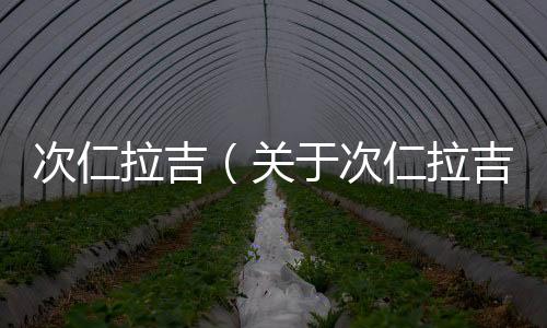 次仁拉吉（關于次仁拉吉的基本情況說明介紹）