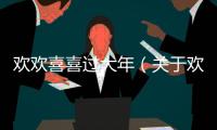 歡歡喜喜過大年（關于歡歡喜喜過大年的基本情況說明介紹）