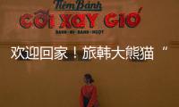 歡迎回家！旅韓大熊貓“福寶”平安抵達成都