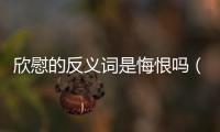 欣慰的反義詞是悔恨嗎（欣慰）