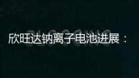 欣旺達鈉離子電池進展：已處于測試驗證環節