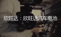 欣旺達：欣旺達汽車電池擬獲得增資