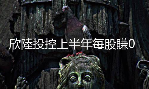 欣陸投控上半年每股賺0.96元　3大事業體存量充實