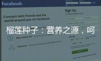榴蓮種子：營(yíng)養(yǎng)之源，呵護(hù)你的健康