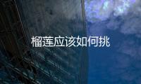 榴蓮應該如何挑
