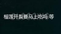 榴蓮開裂要馬上吃嗎 等太久會變質