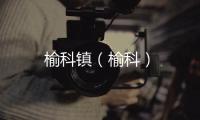 榆科鎮（榆科）