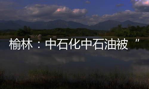 榆林：中石化中石油被“山寨”