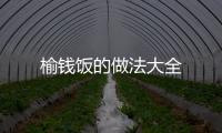 榆錢飯的做法大全