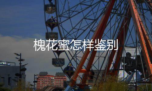 槐花蜜怎樣鑒別