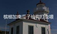 檳榔加南瓜子給狗打蟲喂多少，檳榔南瓜籽給狗狗驅蟲怎么用