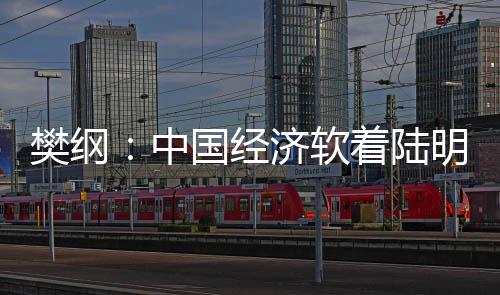 樊綱：中國經(jīng)濟(jì)軟著陸明年將基本完成