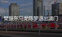 樊振東馬龍陳夢退出澳門賽