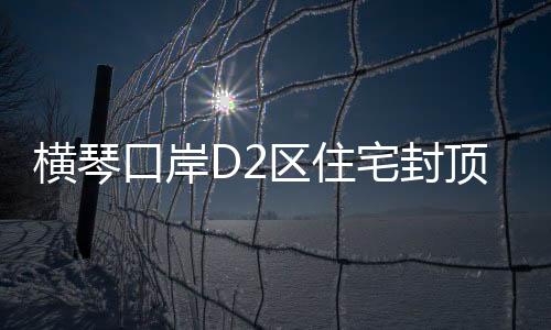 橫琴口岸D2區住宅封頂