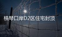 橫琴口岸D2區住宅封頂