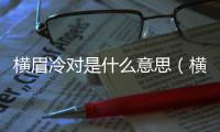 橫眉冷對是什么意思（橫眉冷對打一生肖）