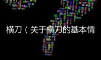 橫刀（關于橫刀的基本情況說明介紹）
