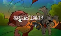 櫻桃正紅第13