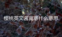 櫻桃英文名寓意什么意思（櫻桃英文）