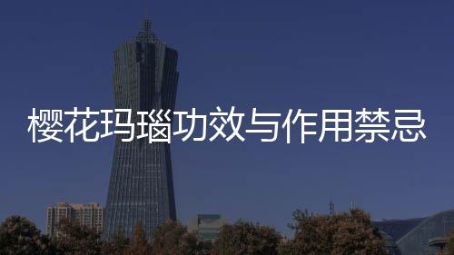 櫻花瑪瑙功效與作用禁忌（櫻花瑪瑙功效與禁忌）