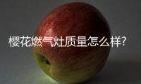 櫻花燃氣灶質(zhì)量怎么樣?大品牌值得信任