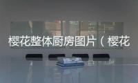 櫻花整體廚房圖片（櫻花整體廚房）