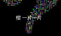 櫻 一片一片