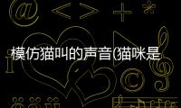 模仿貓叫的聲音(貓咪是如何看待人類模仿它的聲音的)