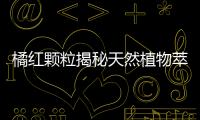 橘紅顆粒揭秘天然植物萃取的美容奧秘