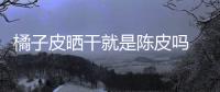 橘子皮曬干就是陳皮嗎 干橘子皮不等于陳皮
