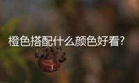 橙色搭配什么顏色好看?（橙色搭配什么顏色好看）