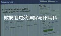 橄欖的功效詳解與作用科普