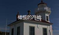 橄欖的產地