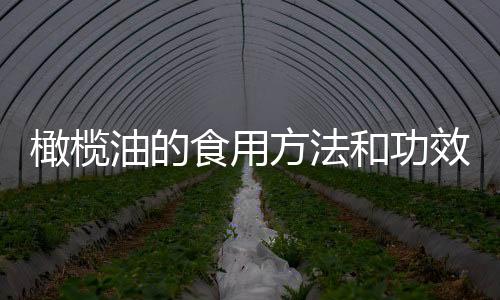 橄欖油的食用方法和功效，橄欖油的食用方法