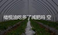 橄欖油吃多了減肥嗎 空腹喝橄欖油能減肥嗎